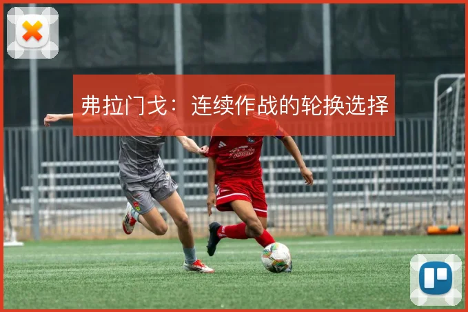弗拉门戈:连续作战的轮换选择