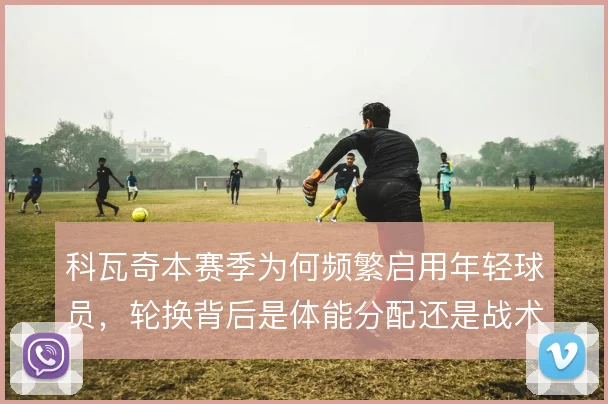 科瓦奇本赛季为何频繁启用年轻球员，轮换背后是体能分配还是战术试验