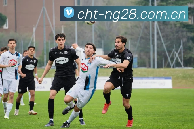 多彩内容专区